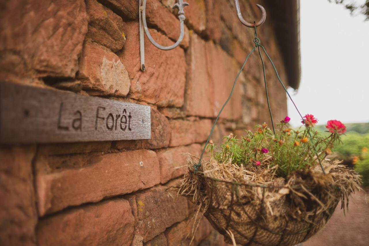Bed and Breakfast La Douce France Collonges-la-Rouge Zimmer foto